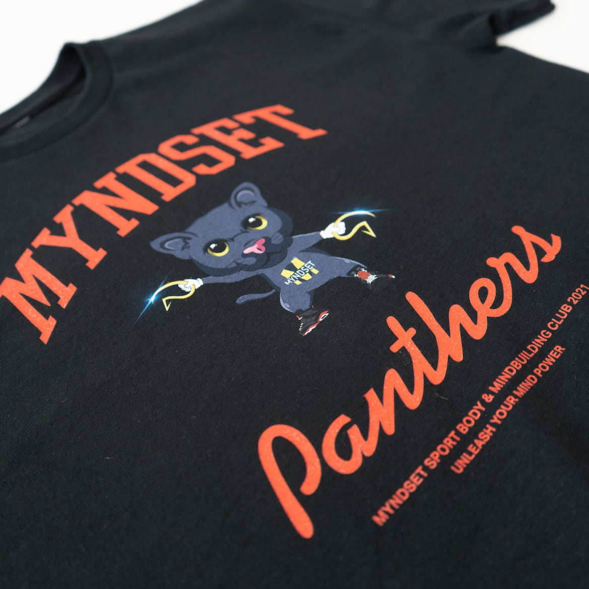 BLACK PANTHER TEDDY REGULAR T-SHIRT