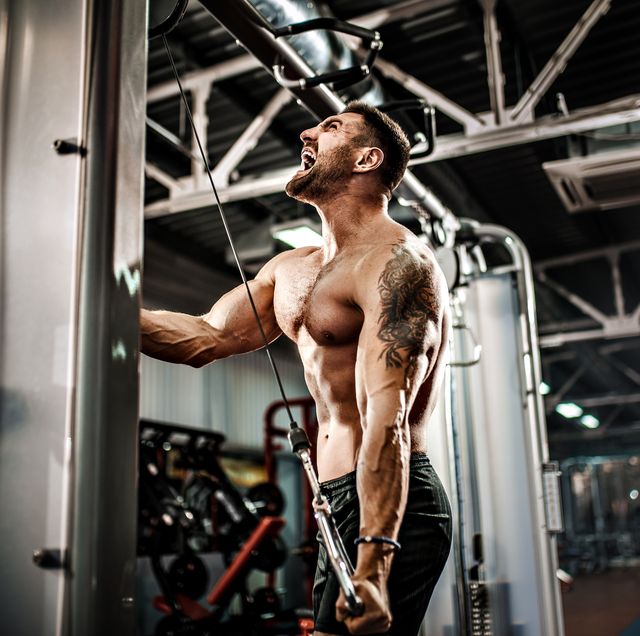 10 Best Triceps Exercises for Jaw Dropping Strength, Mass, and Power