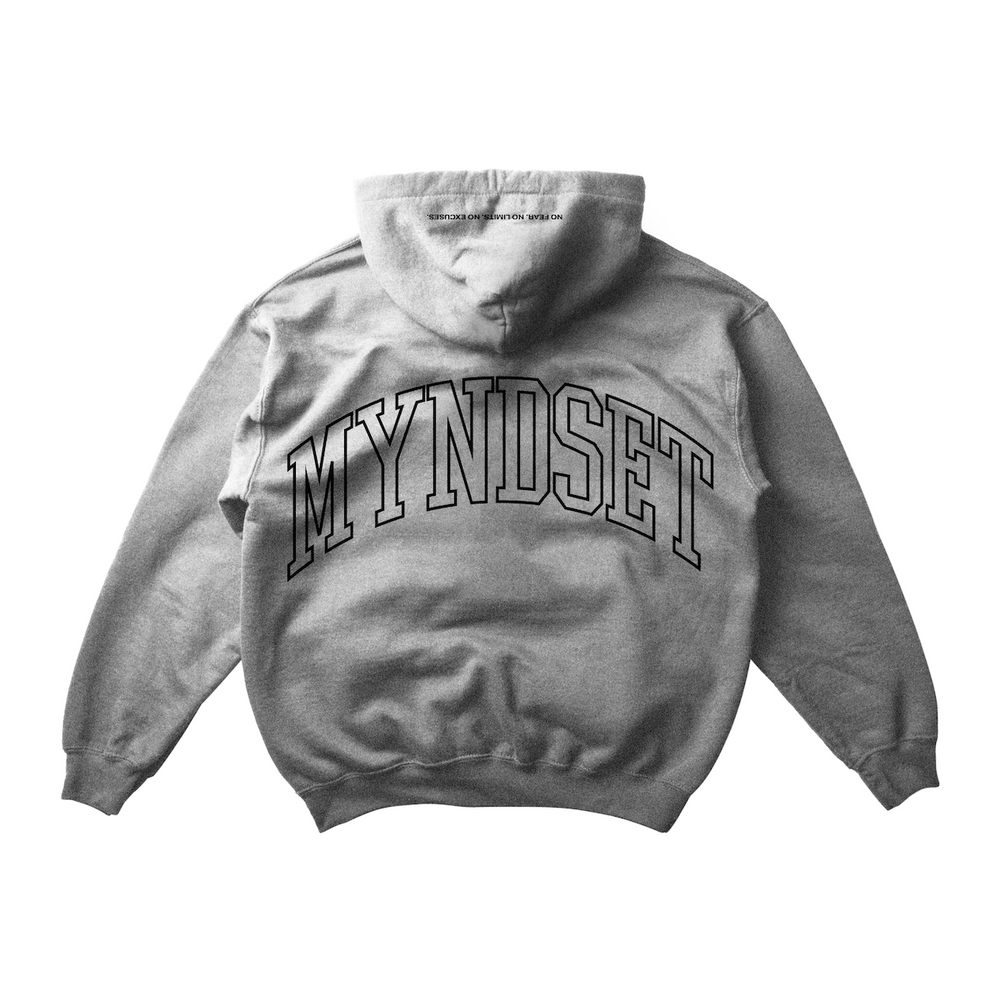 PUFF PRINT WISDOM HOODIE IN GRAY